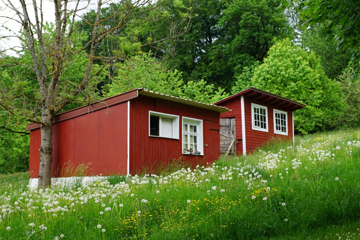  Pros  and Cons  of living  in a tiny  house 